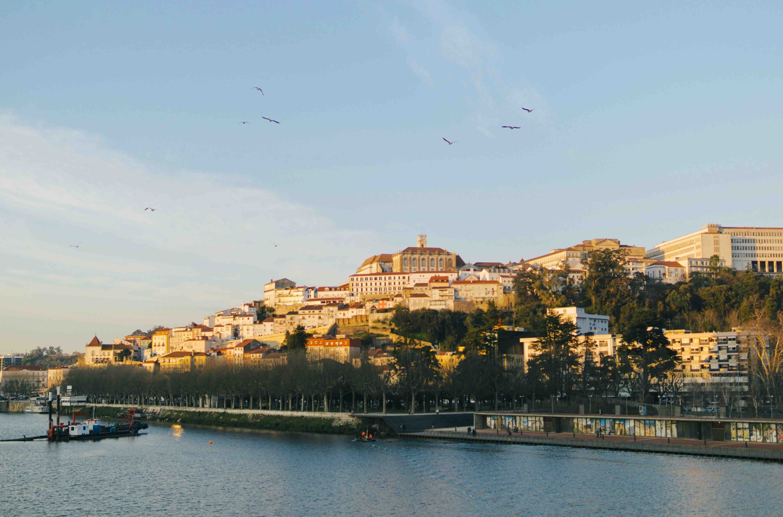 Coimbra ist die drittgrößte Stadt Portugals. Und ein Hotspot für unsere Wein- und Genussreisen.