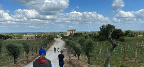 Genussreisen, Weinreisen und unbezahlbare Erlebnisse mit deinen besten Freunden – Wein, Essen, Adrenalin. Startet jetzt euren Genießer-Roadtrip mit Winebuddys!