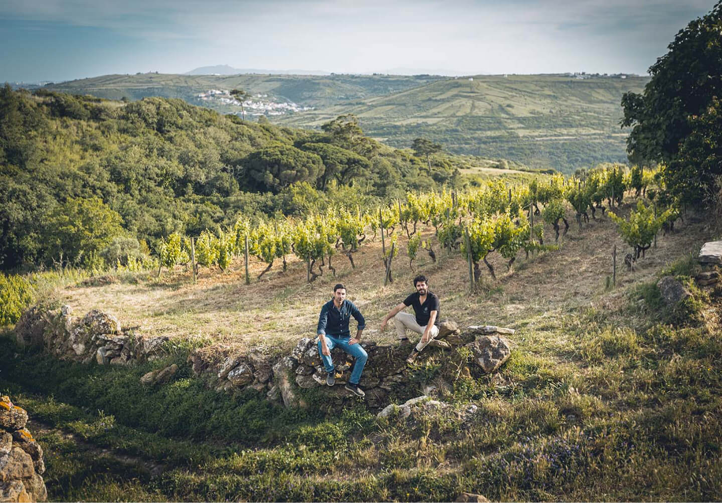 Entdecke die Nachhaltigkeit unserer Weinreisen und erlebe die Faszination des Weingenusses im Einklang mit der Natur. Mit Winebuddys!
