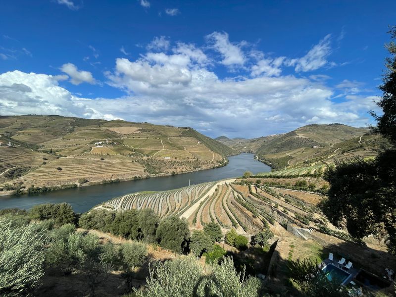 Tauche ein in die malerischen Weinberge des Douro-Tals und die pulsierende Weinmetropole Porto. Erlebe mit uns eine einzigartige Genussreise.